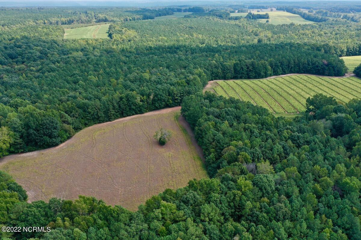 0 Peter Stallings Road Macon, NC 27551 - Photo 8 of 50 DJI_0851