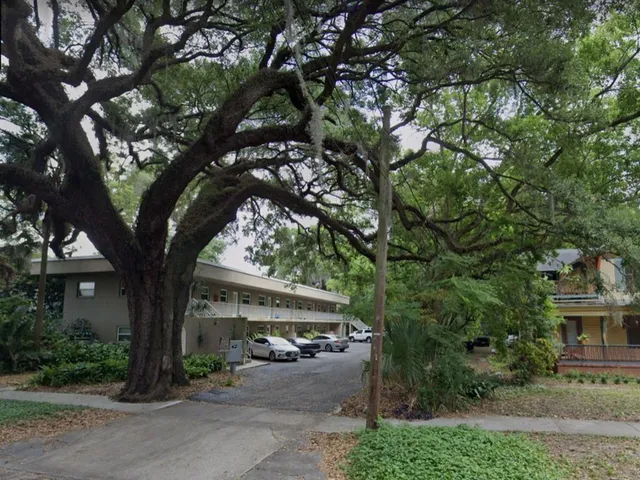 a view of a large tree in front of a house
