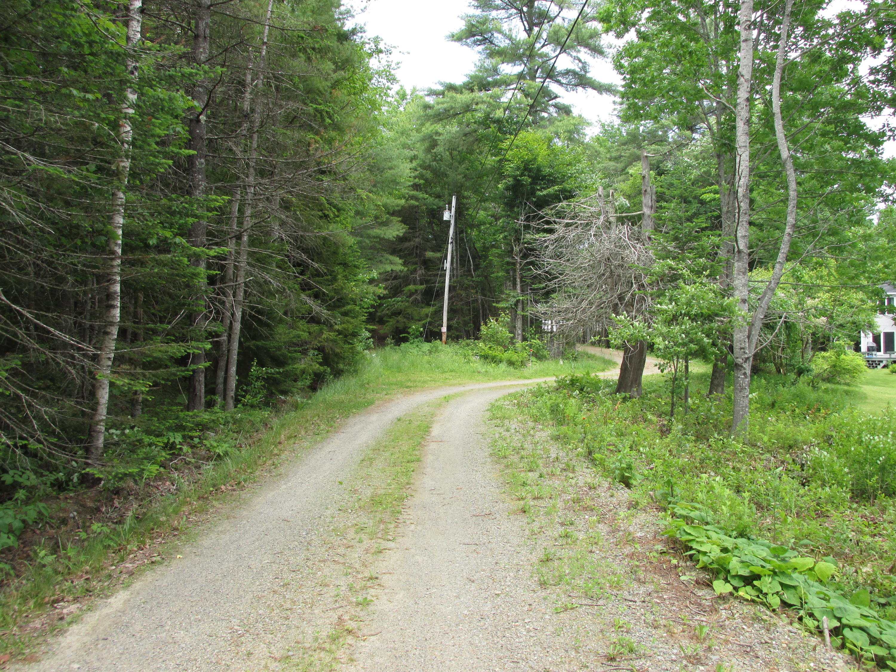 95 Black Road South Searsport, ME 04974 - Photo 118 of 140 june 2014 221