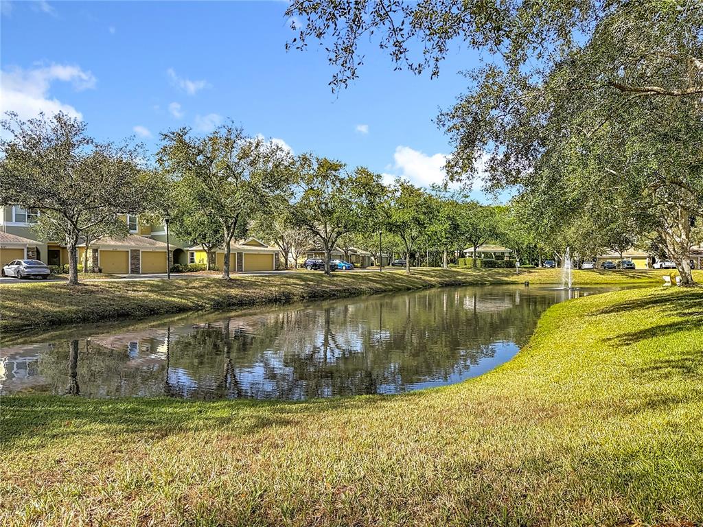 8123 Stone Path Way Tampa, FL 33647 - Photo 2 of 59