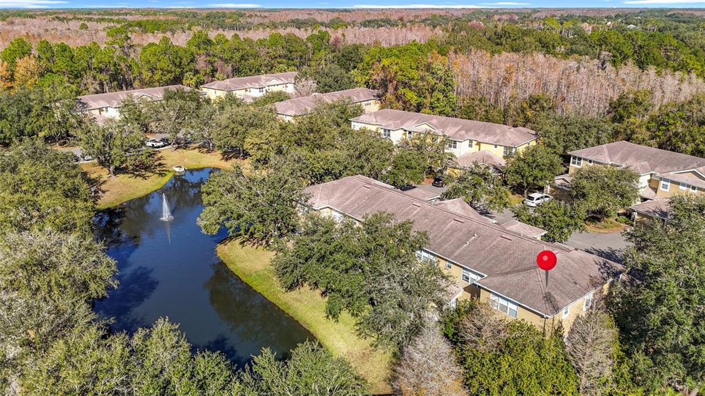 8123 Stone Path Way Tampa, FL 33647 - Photo 53 of 59
