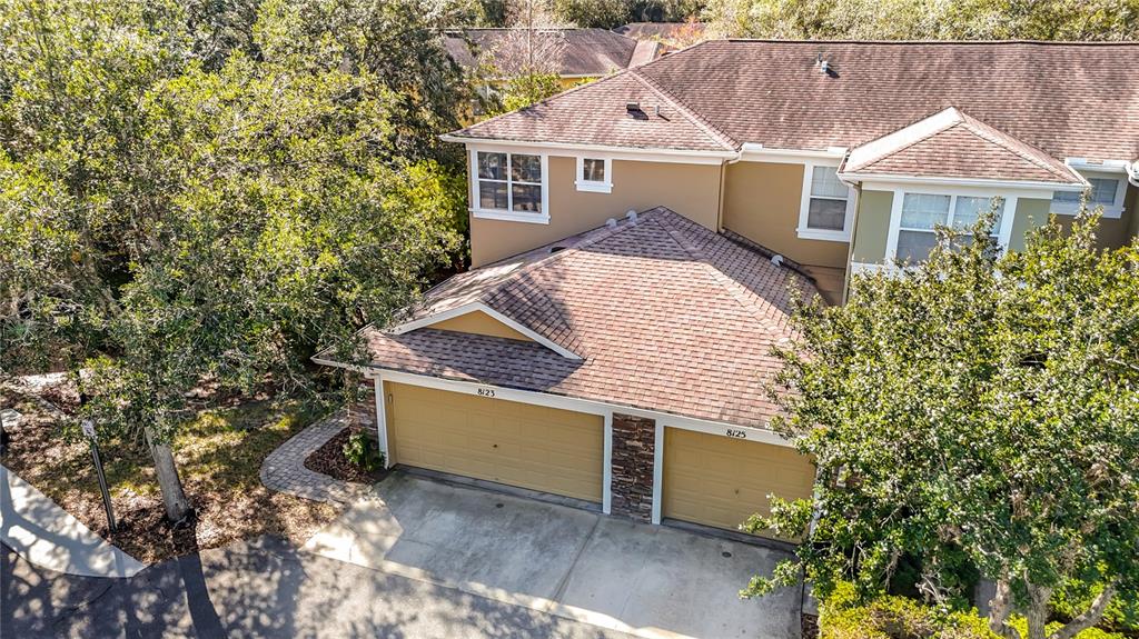 8123 Stone Path Way Tampa, FL 33647 - Photo 10 of 59
