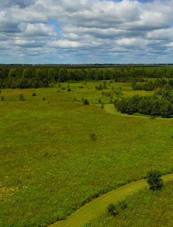 $975,000 | 97.49-acres 2700 North Road, Ashkum, IL 60911