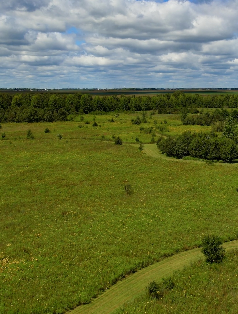 97.49-acres 2700 North Road Ashkum, IL 60911 - Photo 7 of 9 a view of an ocean from a building