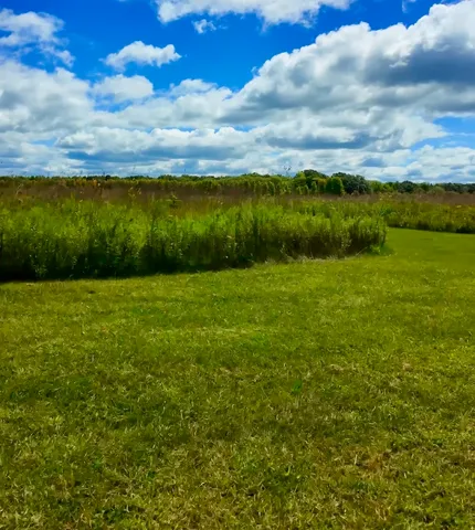 $1,200,000 | 97.49-acres 2700 North Road, Ashkum, IL 60911