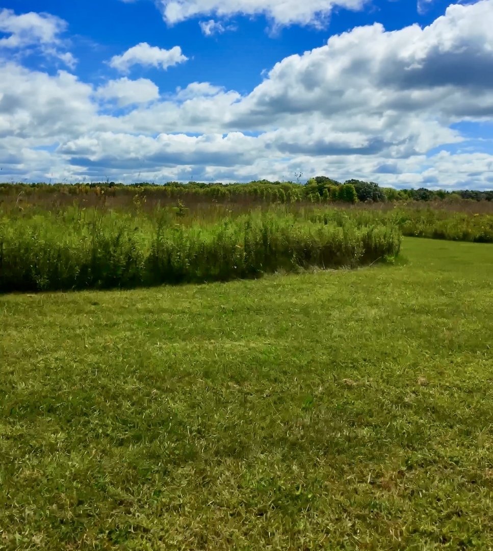97.49-acres 2700 North Road Ashkum, IL 60911 - Photo 8 of 9