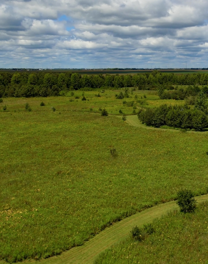 97.49-acres 2700 North Road Ashkum, IL 60911 - Photo 9 of 9 a view of yard with ocean view