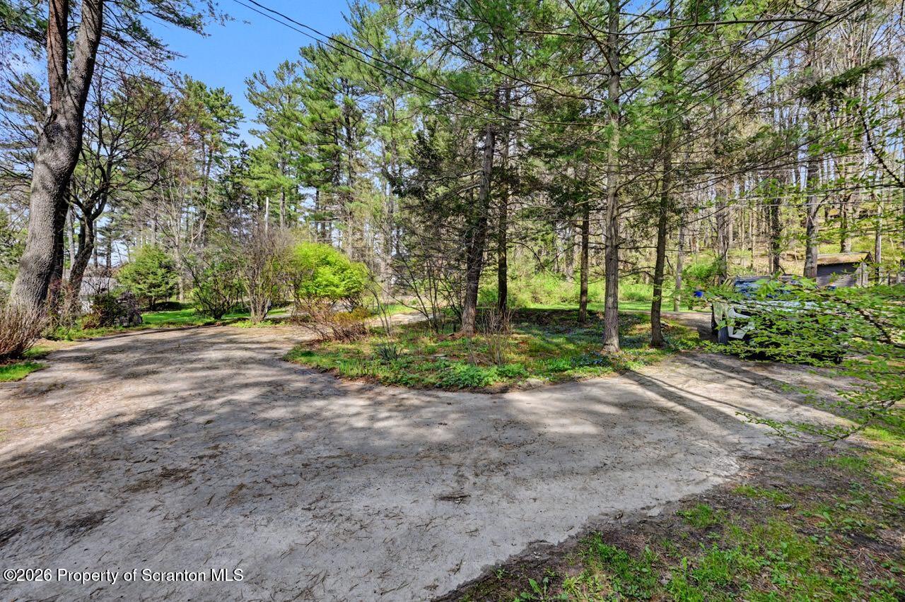164 Pinewood Road Fleetville, PA 18420 - Photo 59 of 60 164 Pinewood Rd 59 Large