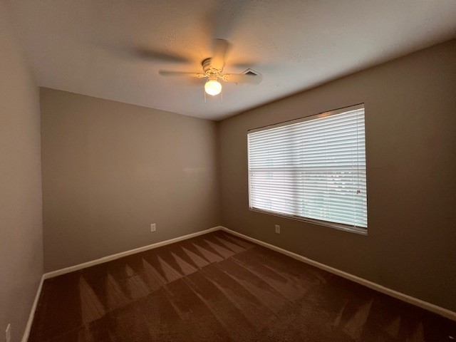 12407 Nectar Court Houston, TX 77082 - Photo 10 of 23