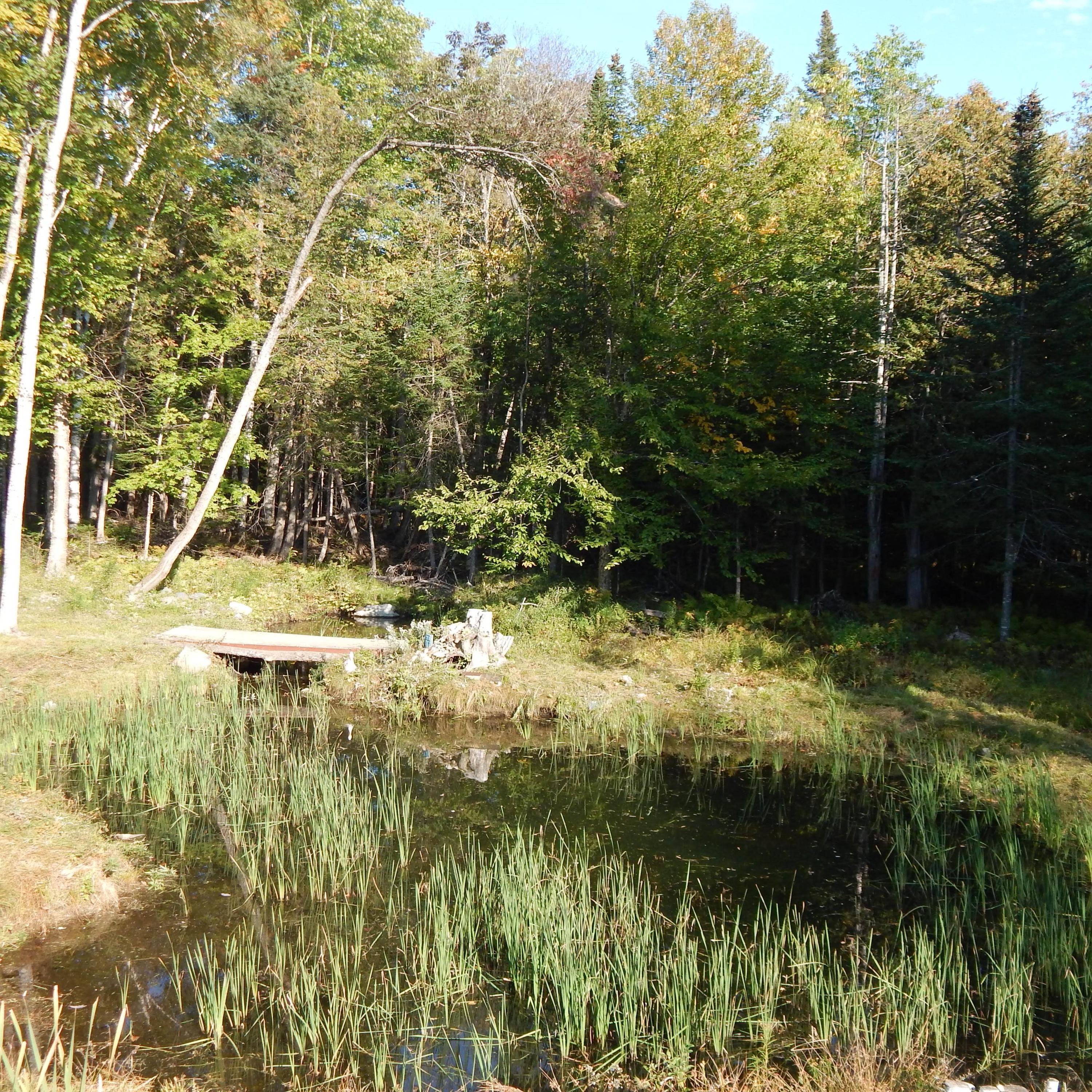 63 Gray Hill Road Dover-Foxcroft, ME 04426 - Photo 71 of 75 DSCN9700