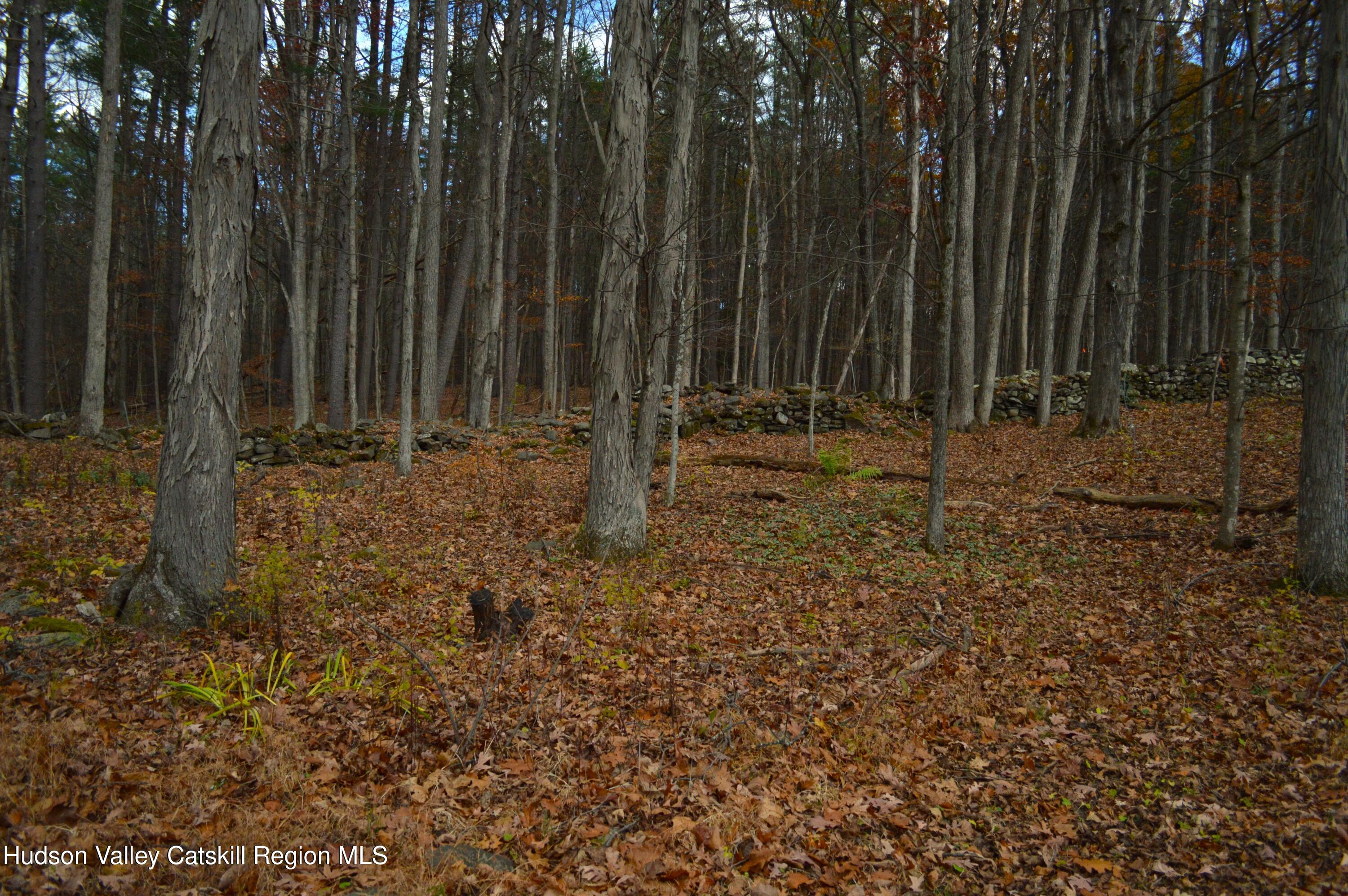 100 Meadow Lane Cairo, NY 12413 - Photo 17 of 18 a view of a backyard with trees