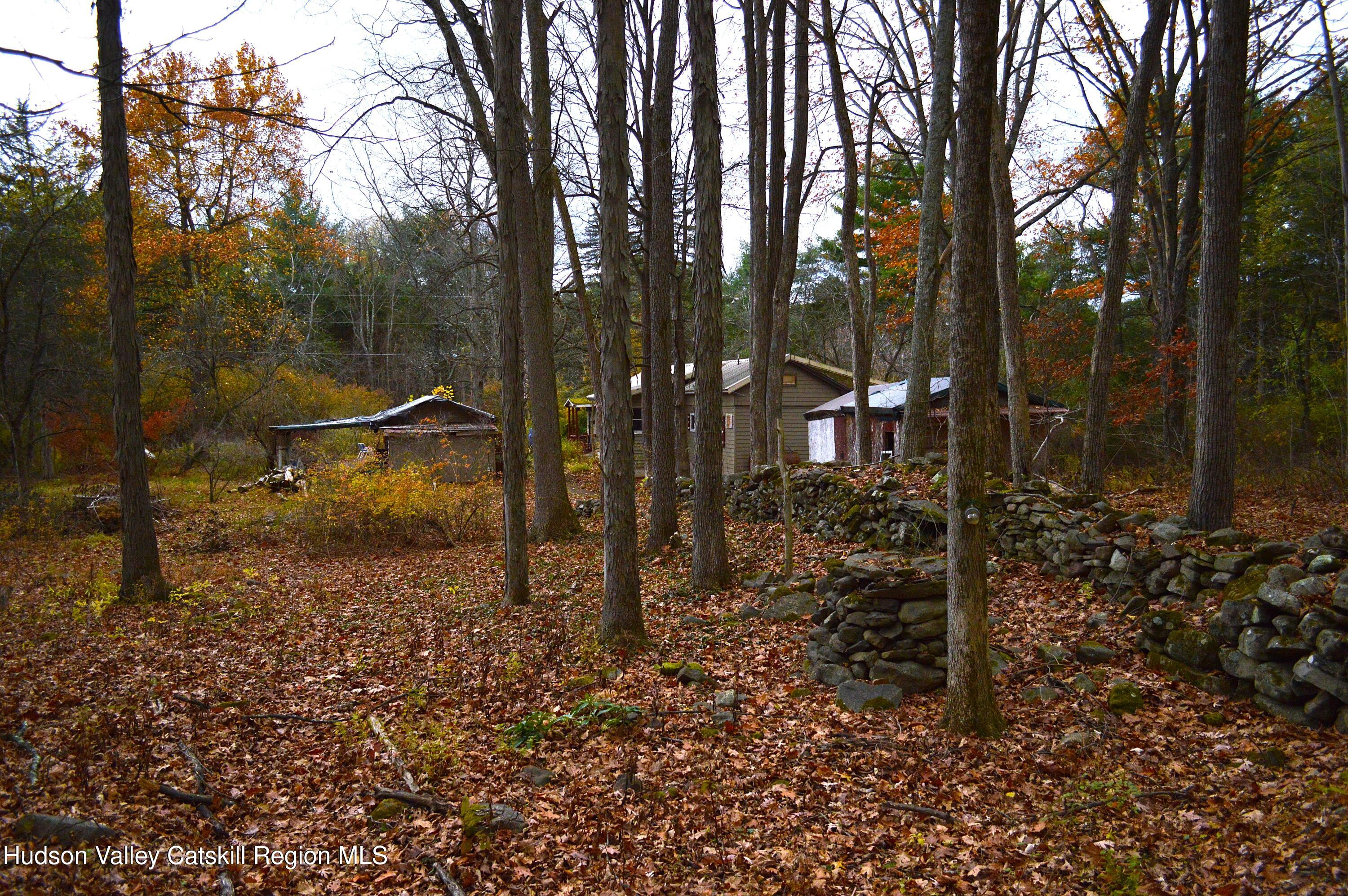 100 Meadow Lane Cairo, NY 12413 - Photo 2 of 18 a view of a backyard