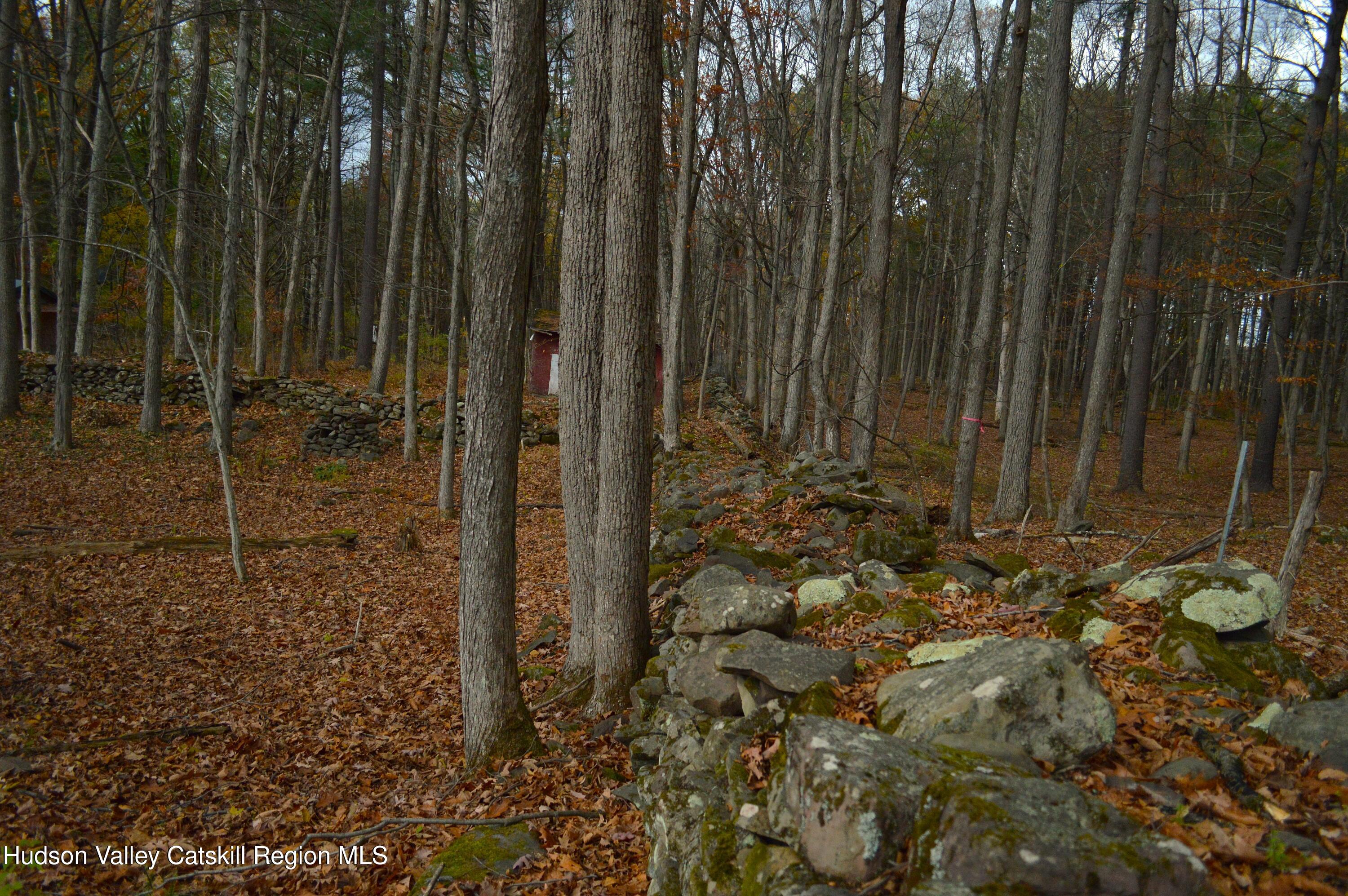 100 Meadow Lane Cairo, NY 12413 - Photo 5 of 18 a view of bath room