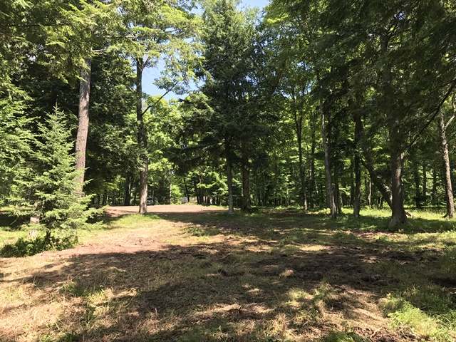 7371 East Fisher Lake Road Mercer, WI 54547 - Photo 9 of 17 Gallery Image 9