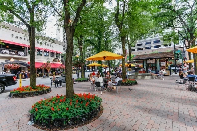 $399,000 | 1030 North State Street, Unit 34D, Chicago, IL 60610