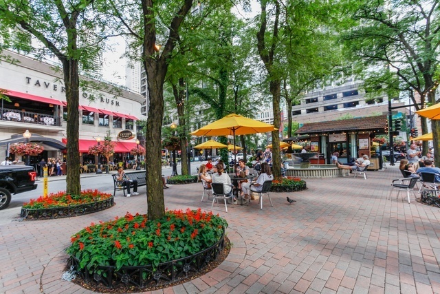 1030 North State Street, Unit 34D Chicago, IL 60610 - Photo 22 of 23