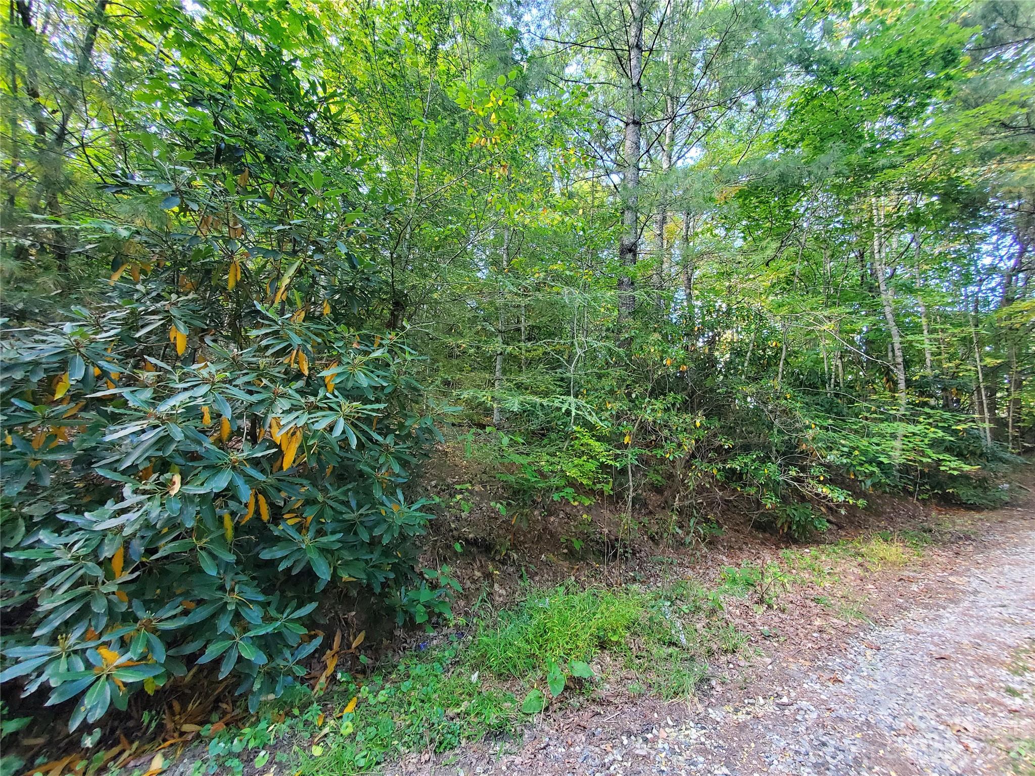 3 Rhoneys View Road, Unit 1 2 3 Newland, NC 28657 - Photo 6 of 10 Gallery Image 6