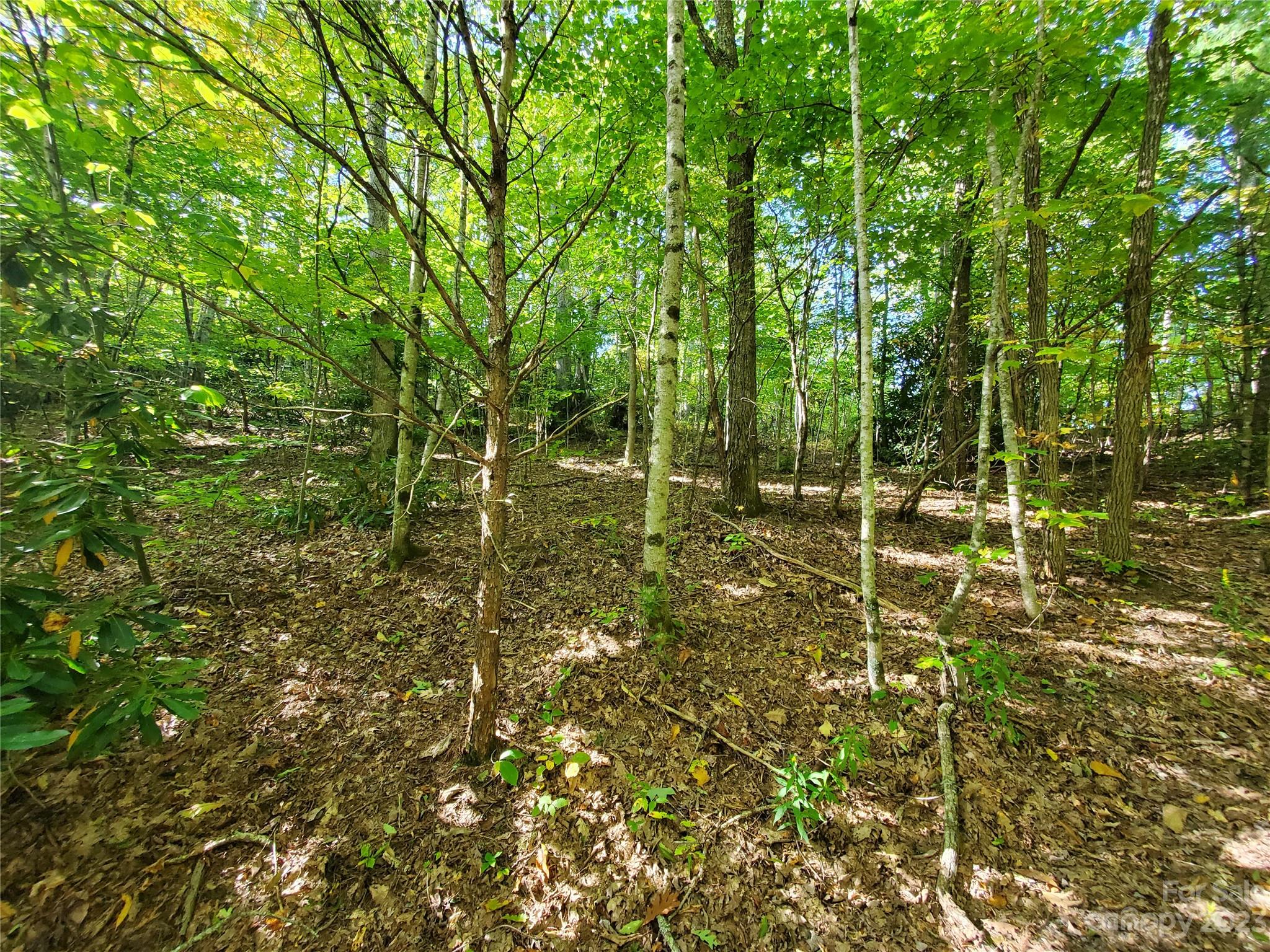 3 Rhoneys View Road, Unit 1 2 3 Newland, NC 28657 - Photo 9 of 10 Gallery Image 9