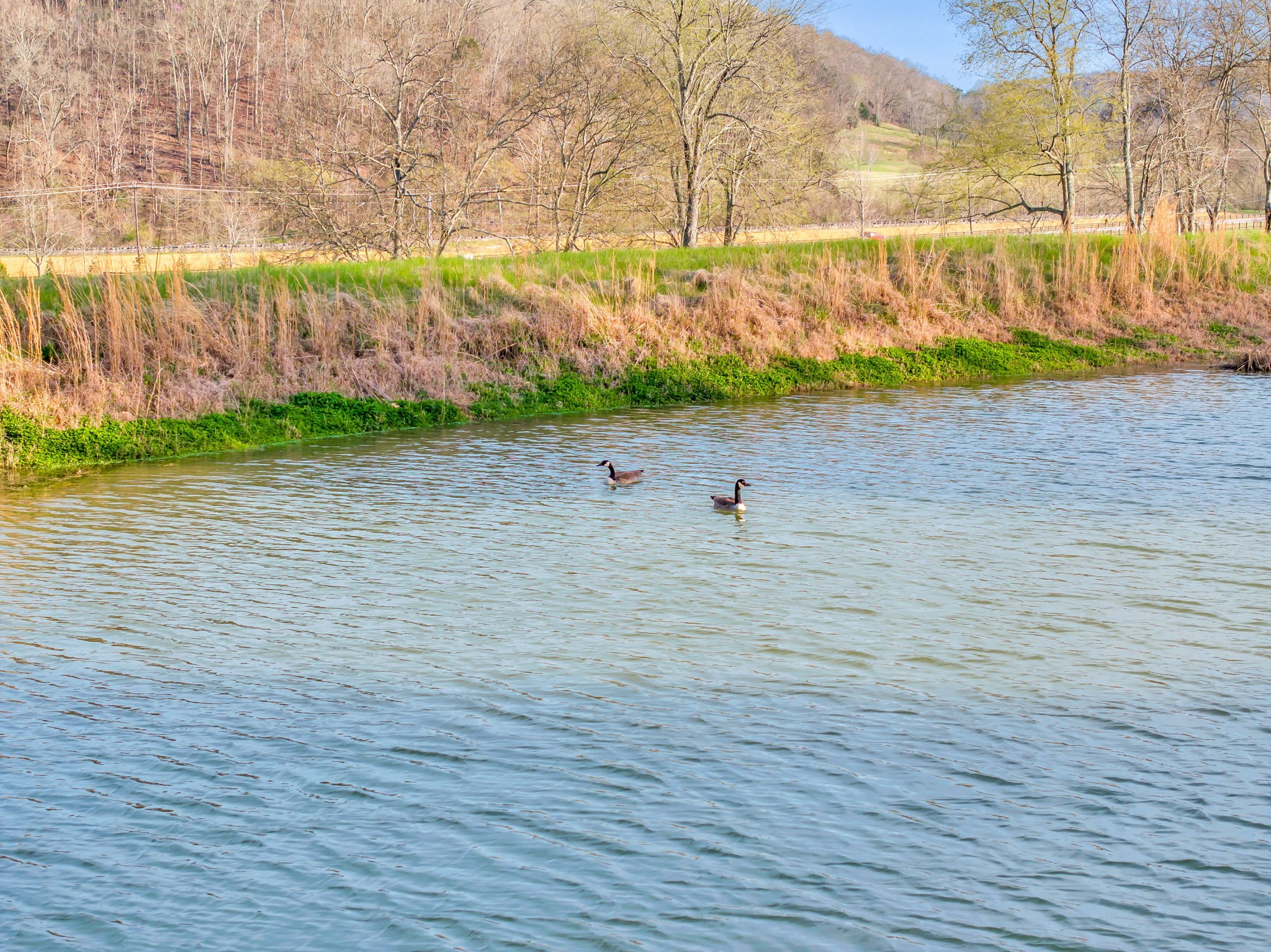 0 Leipers Creek Road Franklin, TN 37064 - Photo 24 of 51 Gallery Image 24