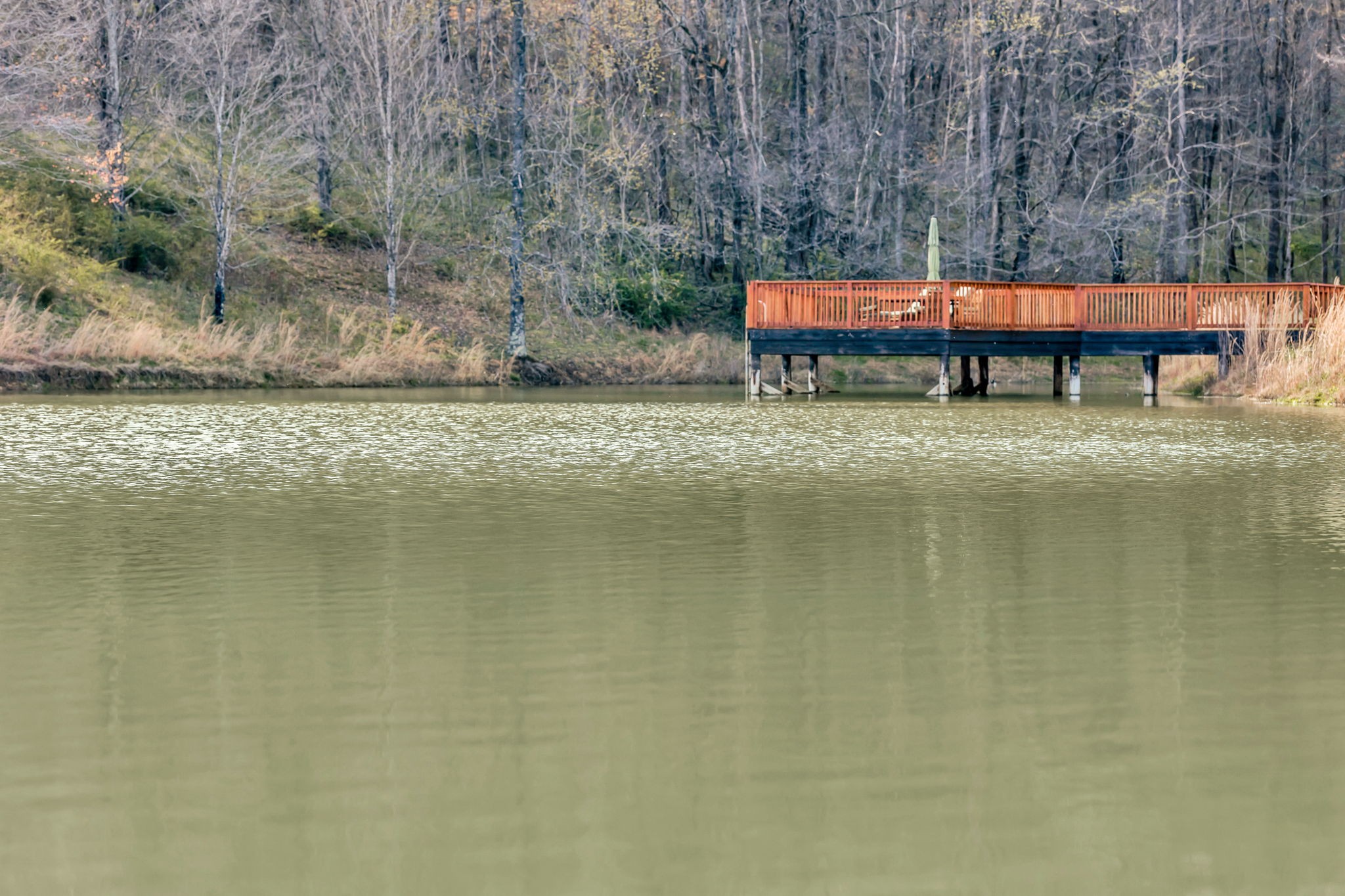 0 Leipers Creek Road Franklin, TN 37064 - Photo 10 of 51 Gallery Image 10