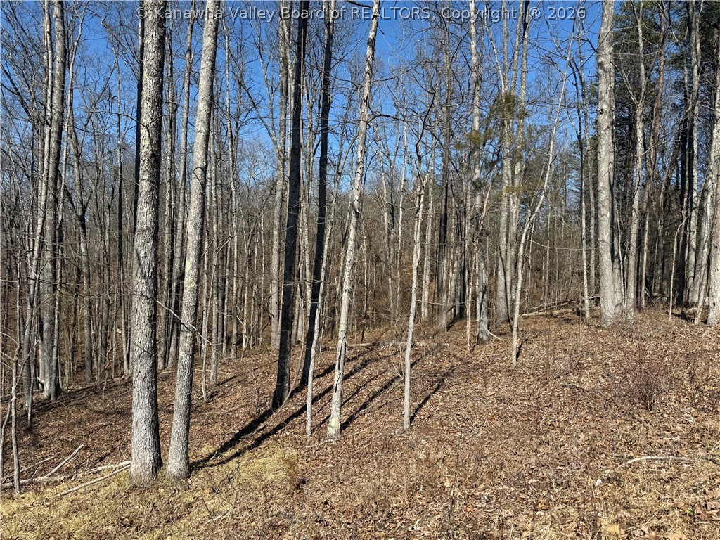 0 Blessing Lane Ripley, WV 25271 - Photo 6 of 15 Gallery Image 6