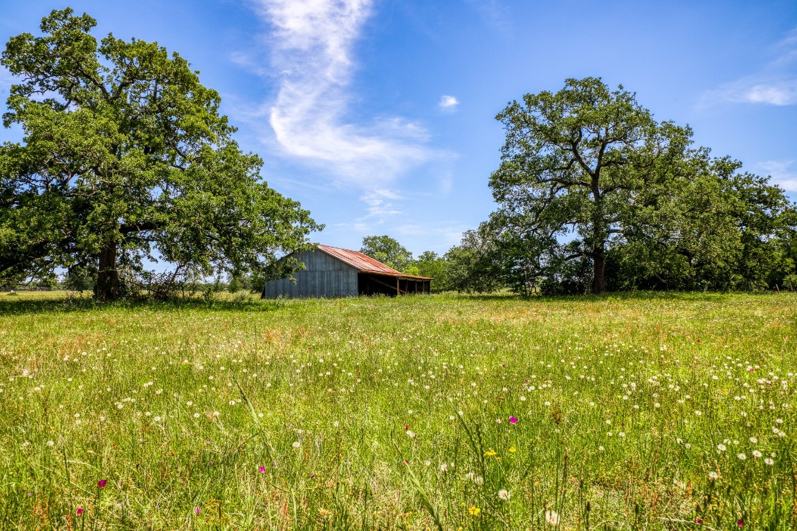 423 Somerville Tx 77879 Somerville, TX 77879 - Photo 1 of 1 a view of a yard with an outdoor space