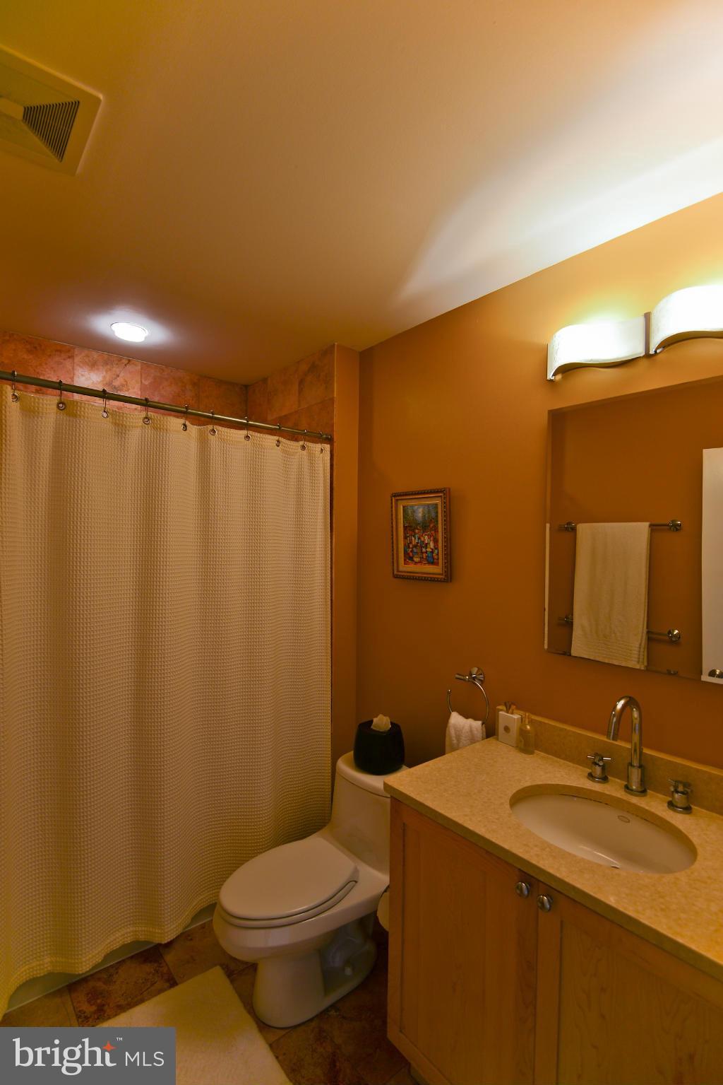 2434 Ontario Road Northwest, Unit 3 Washington, DC 20009 - Photo 22 of 29 Master Bath En-suite