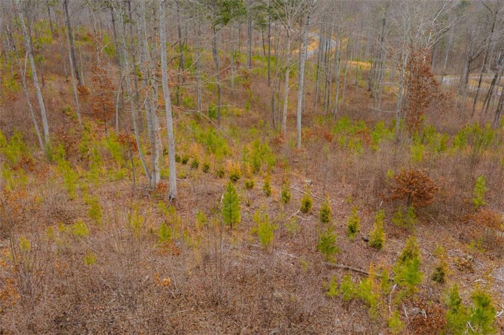 141 Twisted Oak Road Talking Rock, GA 30175 - Photo 12 of 20 a bathroom with a shower
