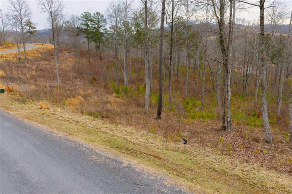 141 Twisted Oak Road Talking Rock, GA 30175 - Photo 13 of 20 a view of a backyard of the house