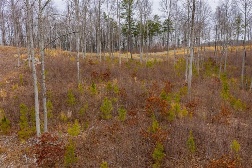 141 Twisted Oak Road Talking Rock, GA 30175 - Photo 14 of 20 a view of a outdoor space