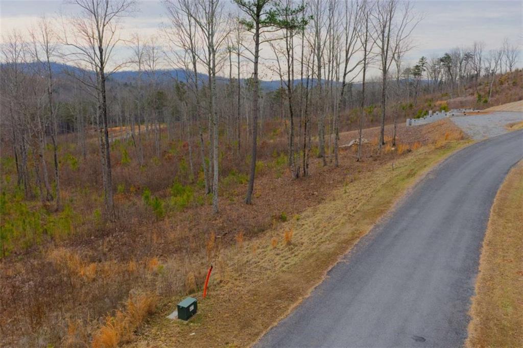 141 Twisted Oak Road Talking Rock, GA 30175 - Photo 4 of 20 a view of a backyard