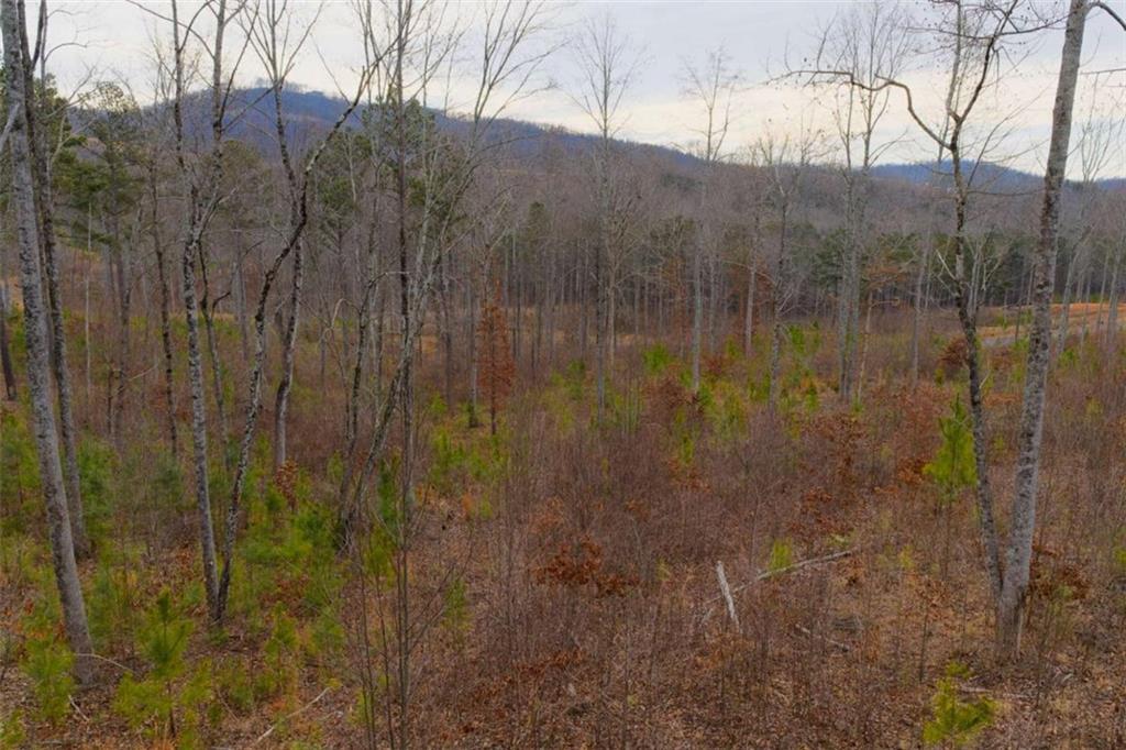 141 Twisted Oak Road Talking Rock, GA 30175 - Photo 5 of 20