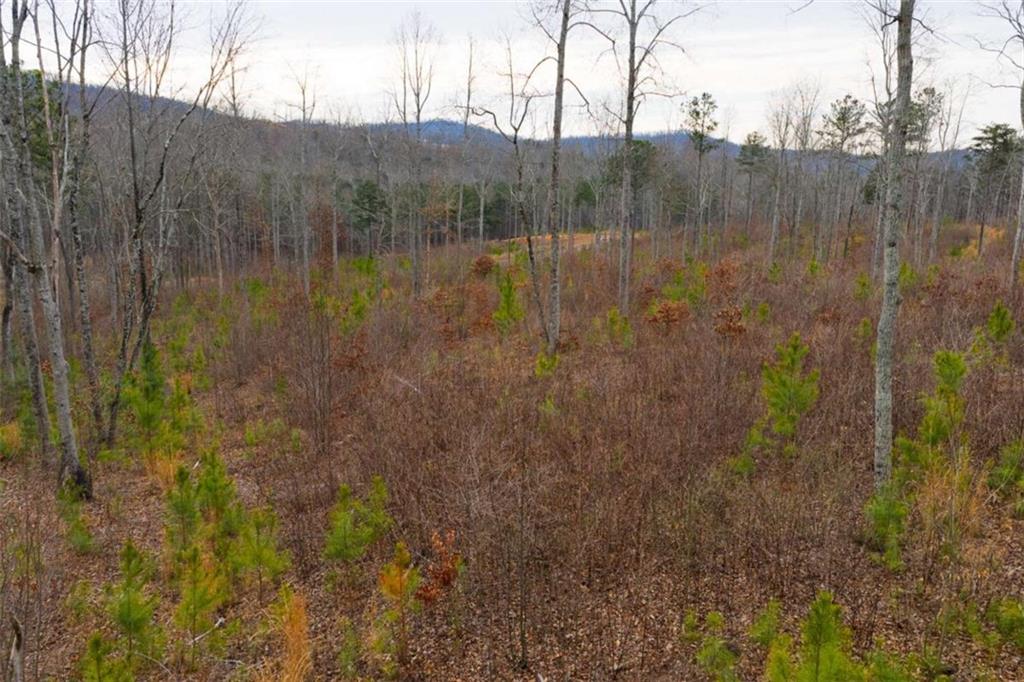 141 Twisted Oak Road Talking Rock, GA 30175 - Photo 6 of 20 a view of lake with green space