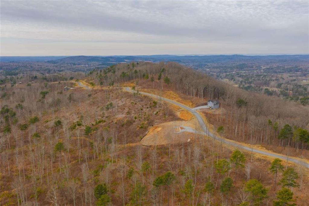 141 Twisted Oak Road Talking Rock, GA 30175 - Photo 10 of 20 a view of a dry yard
