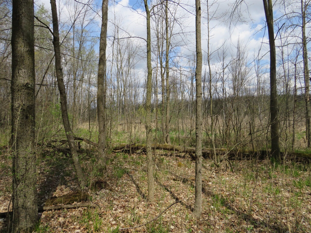 Peoples Road Blanchard, MI 49310 - Photo 7 of 26