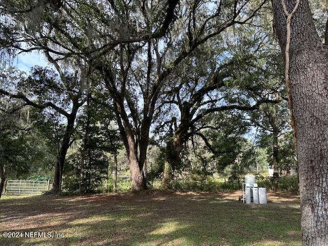 4779 Southwest 119th Loop Lake Butler, FL 32054 - Photo 15 of 49 Back yard 2
