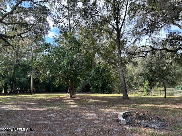 4779 Southwest 119th Loop Lake Butler, FL 32054 - Photo 16 of 49 Back yard 1