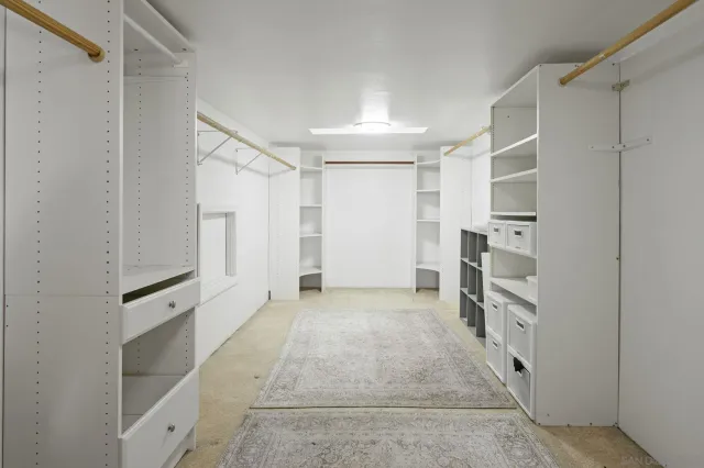 a view of a yard with plants