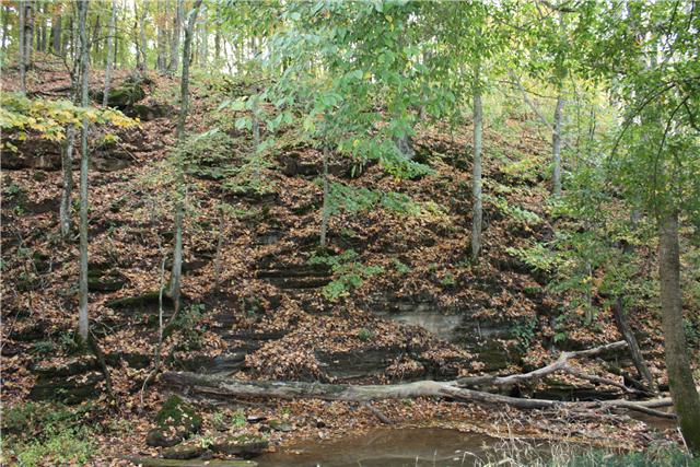 3023 Nicole Road Clarksville, TN 37040 - Photo 13 of 20 Beautiful rock outcroppings