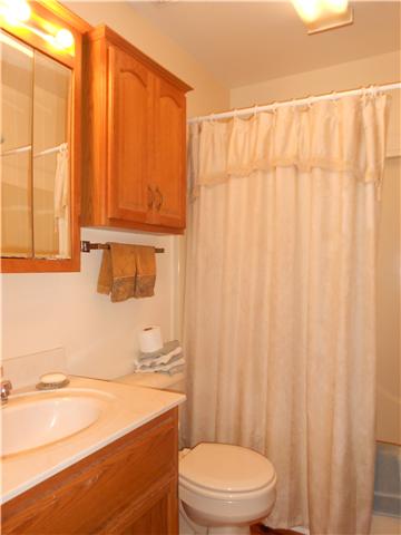 3023 Nicole Road Clarksville, TN 37040 - Photo 9 of 20 Hall bathroom