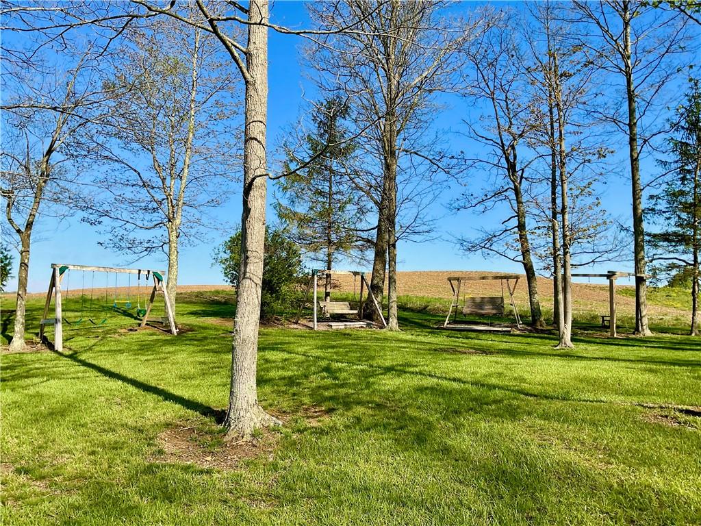 446 Saddle Road Somerset, PA 15501 - Photo 11 of 50 BACKYARD WITH SWINGS