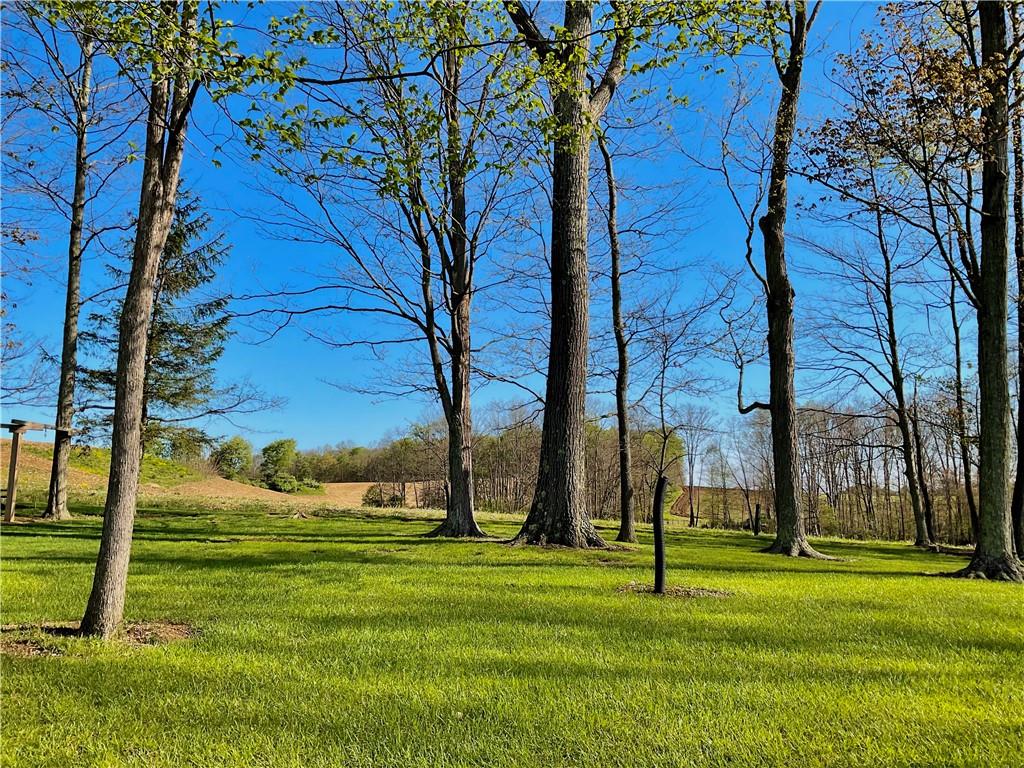 446 Saddle Road Somerset, PA 15501 - Photo 12 of 50