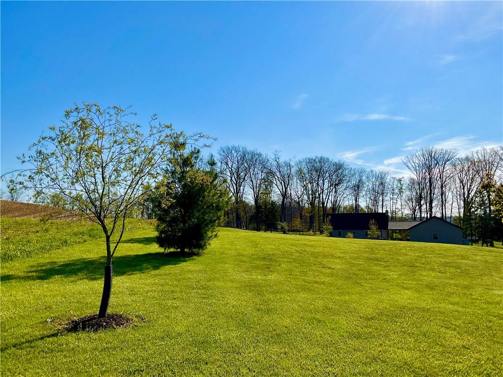 446 Saddle Road Somerset, PA 15501 - Photo 8 of 50 EXPANSIVE YARD