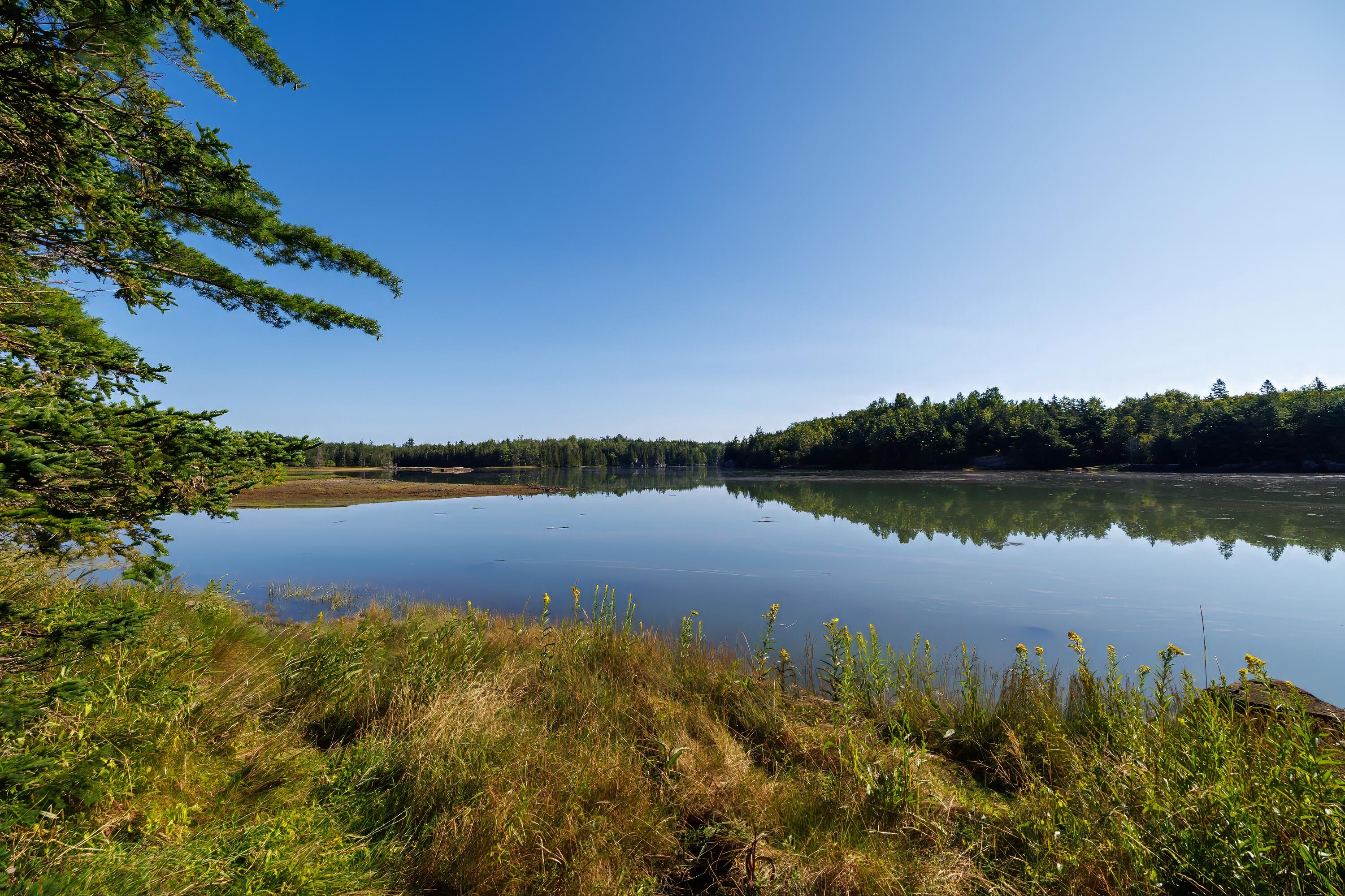 Lot 12 Straight Bay Road Lubec, ME 04652 - Photo 7 of 42 5- Lot 12-B Straight Bay Road HiRes-DTP