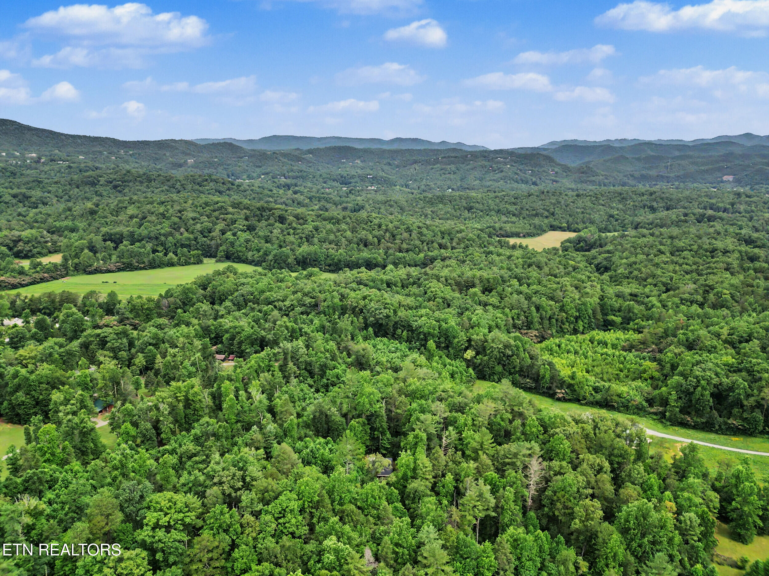 1006 Dry Valley Road Townsend, TN 37882 - Photo 43 of 54 42_dji_0055