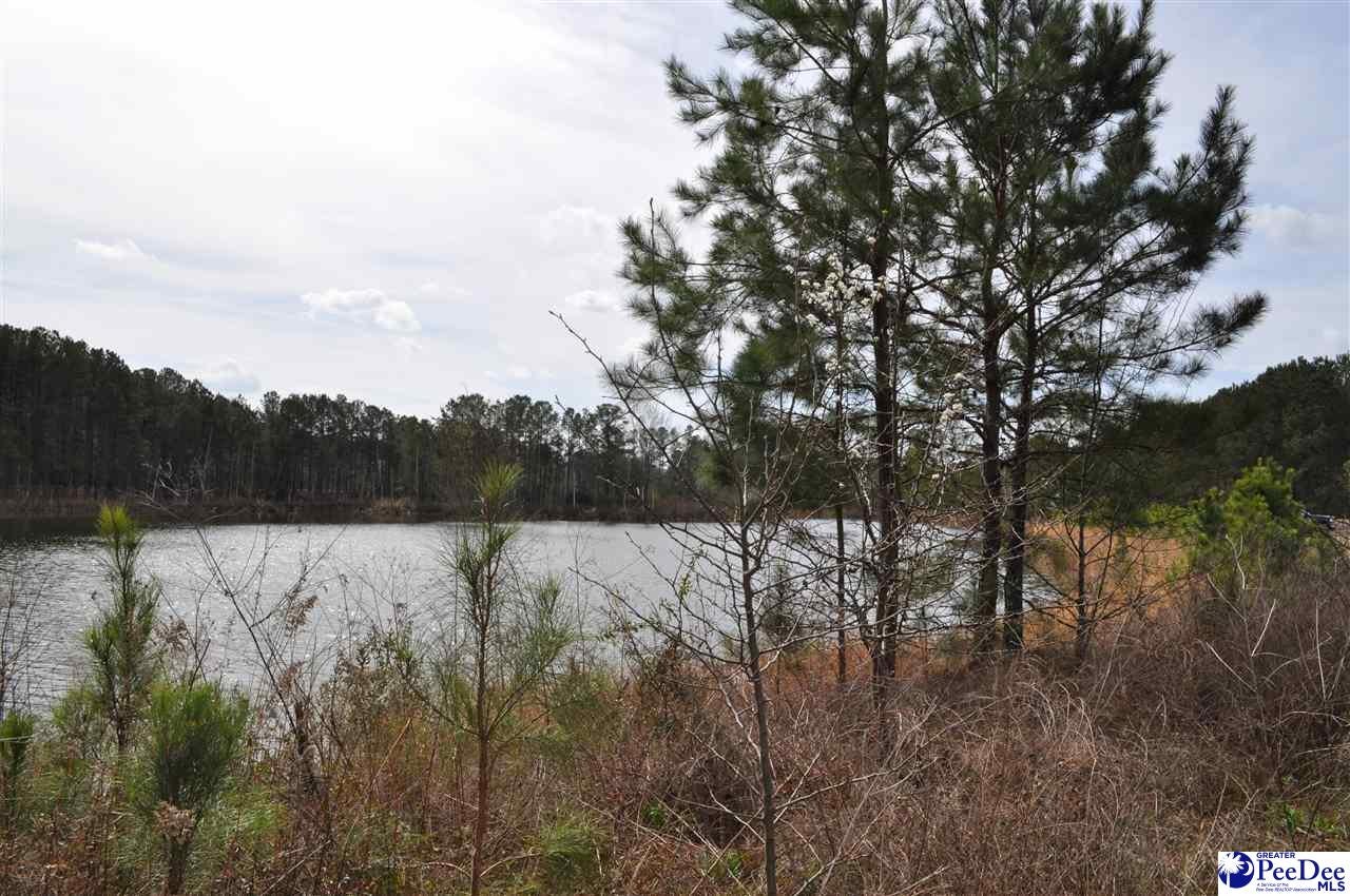 Tbd Crater Road Marion, SC 29571 - Photo 19 of 33 Gallery Image 19