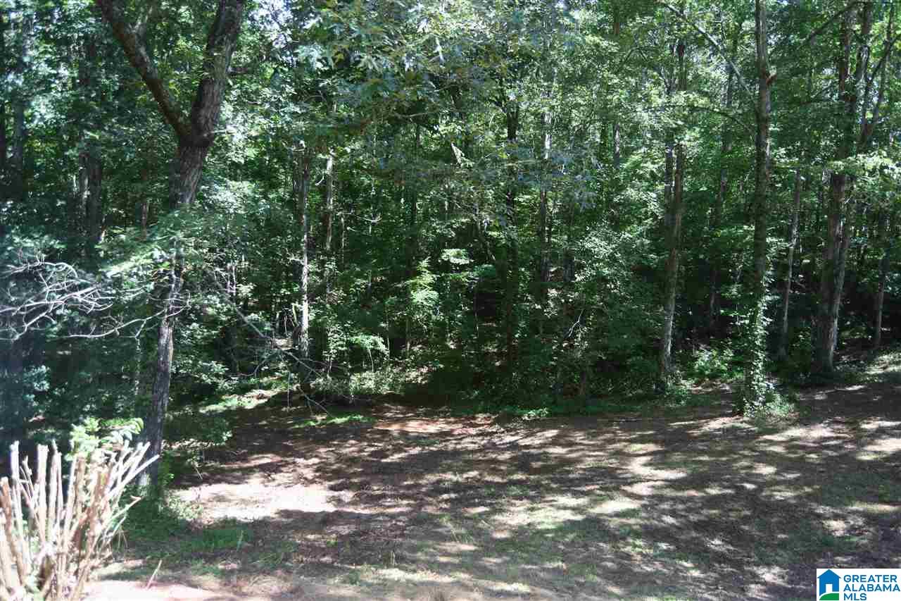 2447 Davidson Road Heflin, AL 36264 - Photo 39 of 40