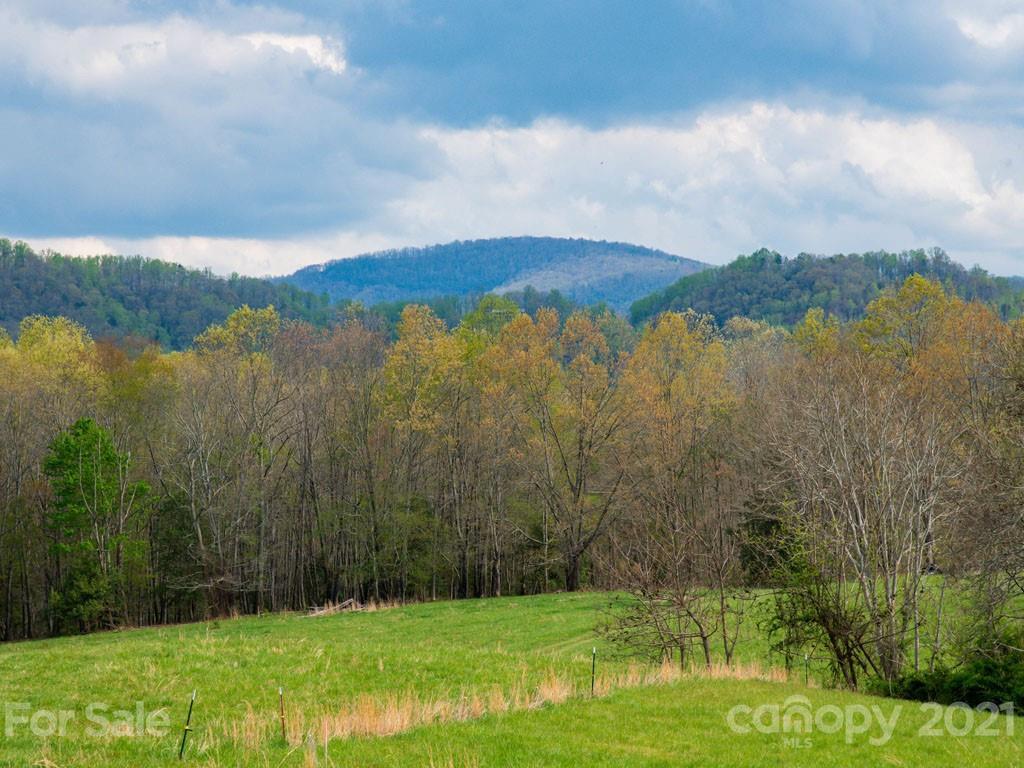2 Jerico Ridge Road Fletcher, NC 28732 - Photo 2 of 48 a view of lake with green space