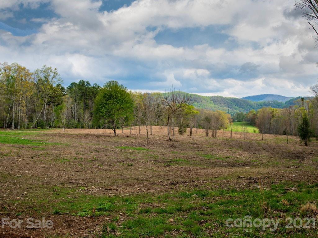2 Jerico Ridge Road Fletcher, NC 28732 - Photo 11 of 48 a view of a field with trees