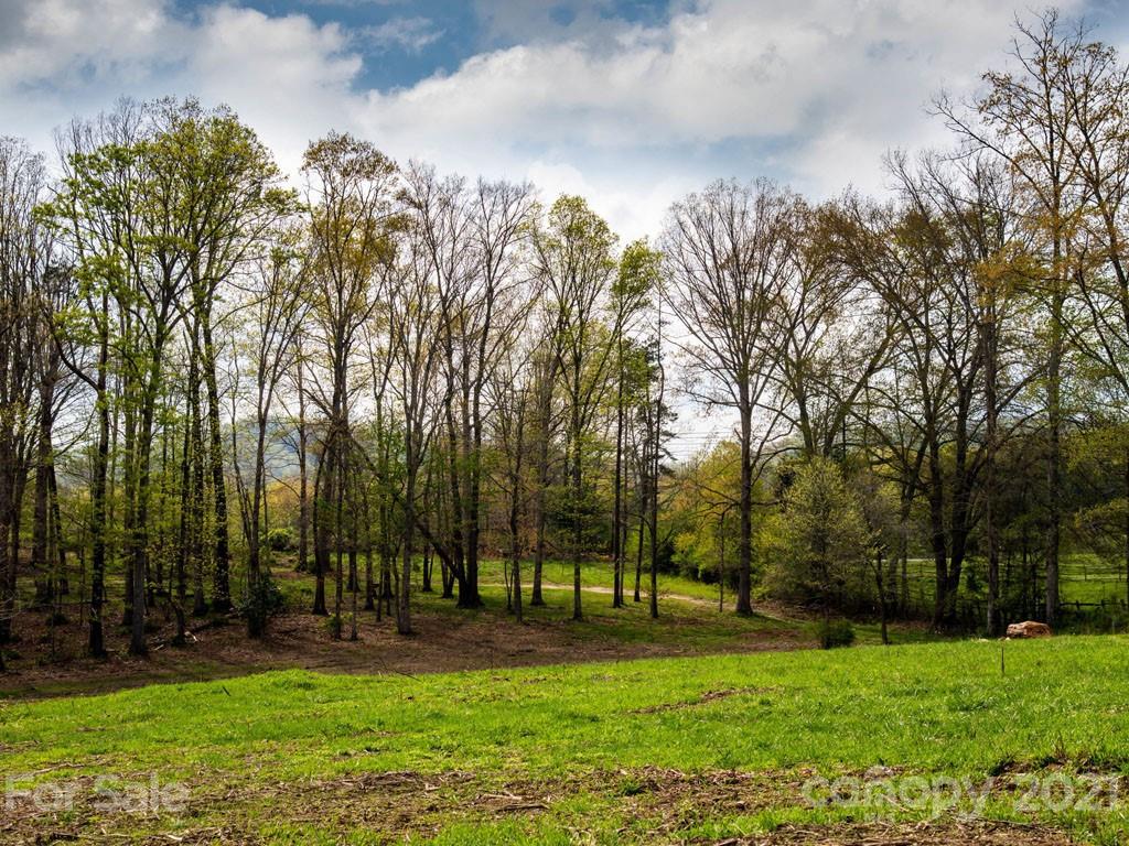 2 Jerico Ridge Road Fletcher, NC 28732 - Photo 14 of 48 a view of a park with large trees